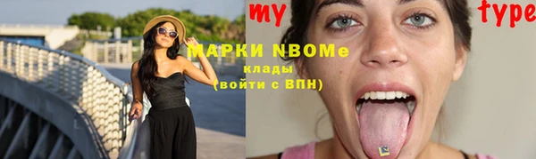 сатива Куйбышев