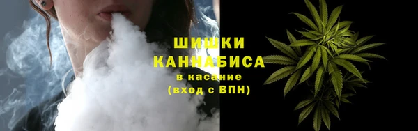 сатива Куйбышев