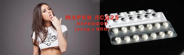 сатива Куйбышев