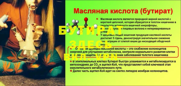 сатива Куйбышев